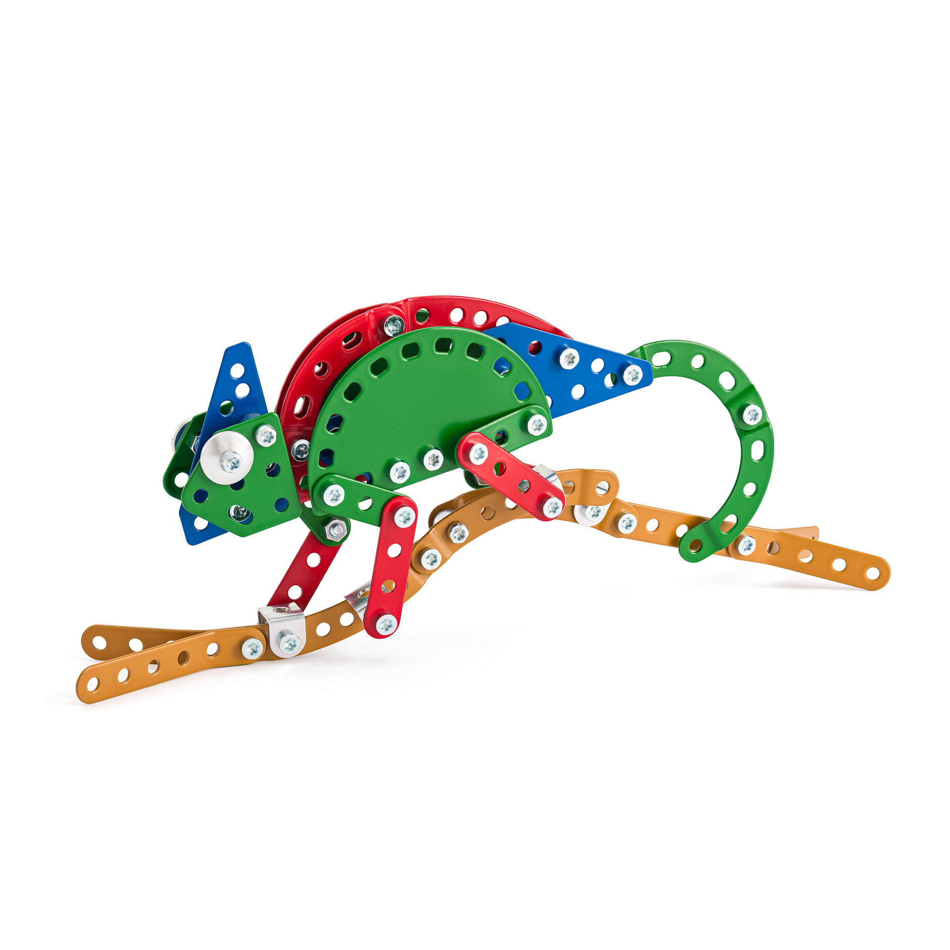 8456_Chameleon